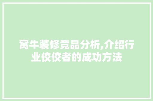 窝牛装修竞品分析,介绍行业佼佼者的成功方法 家居装修