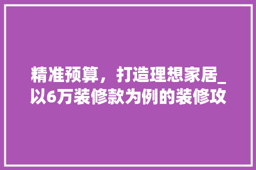精准预算，打造理想家居_以6万装修款为例的装修攻略 现代风格装饰