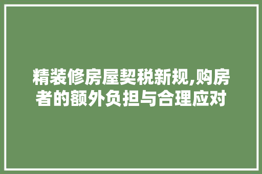 精装修房屋契税新规,购房者的额外负担与合理应对 木雕艺术