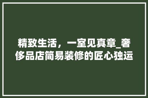 精致生活，一室见真章_奢侈品店简易装修的匠心独运 现代风格装饰