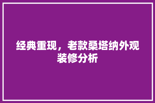 经典重现，老款桑塔纳外观装修分析 现代风格装饰