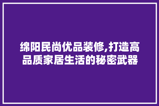绵阳民尚优品装修,打造高品质家居生活的秘密武器 客厅装修