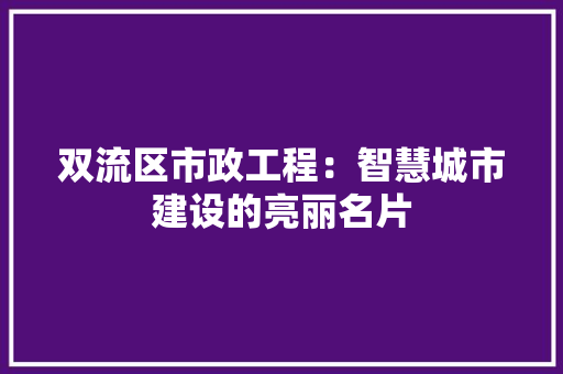 双流区市政工程：智慧城市建设的亮丽名片