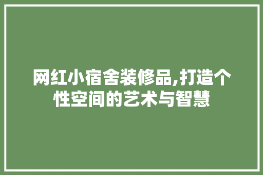 网红小宿舍装修品,打造个性空间的艺术与智慧 客厅装修