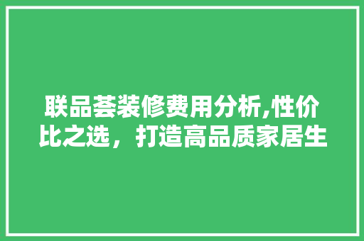 联品荟装修费用分析,性价比之选，打造高品质家居生活 家居装修