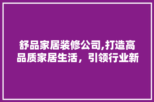 舒品家居装修公司,打造高品质家居生活，引领行业新风尚 家居装修