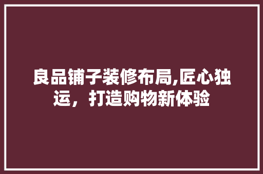 良品铺子装修布局,匠心独运，打造购物新体验 现代风格装饰