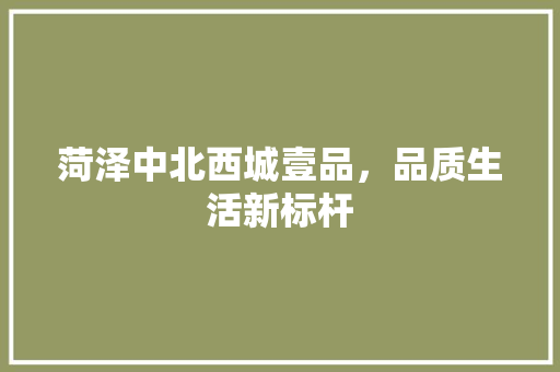 菏泽中北西城壹品，品质生活新标杆 卧室装修