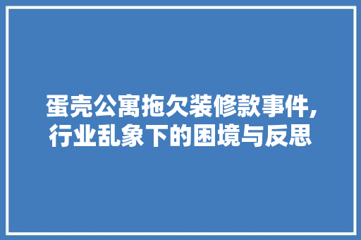 蛋壳公寓拖欠装修款事件,行业乱象下的困境与反思 室内设计