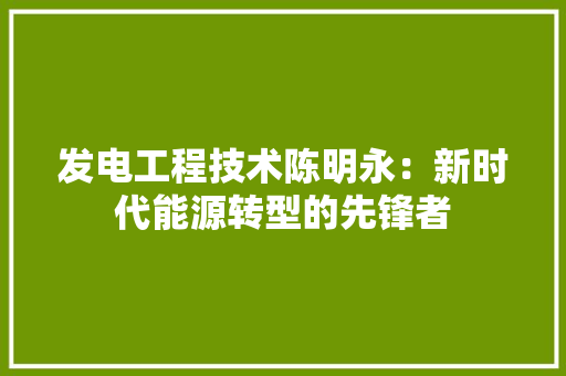发电工程技术陈明永：新时代能源转型的先锋者