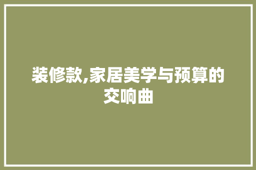 装修款,家居美学与预算的交响曲 家居装修