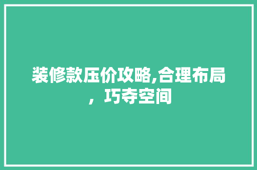 装修款压价攻略,合理布局，巧夺空间 室内设计