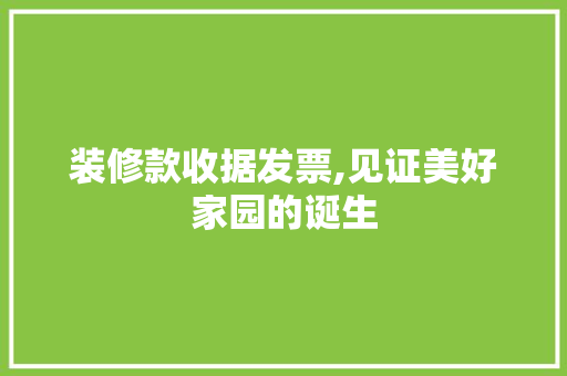 装修款收据发票,见证美好家园的诞生