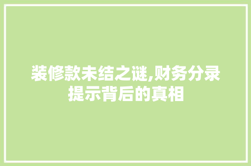 装修款未结之谜,财务分录提示背后的真相 木雕艺术