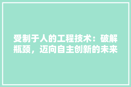 受制于人的工程技术：破解瓶颈，迈向自主创新的未来