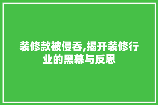 装修款被侵吞,揭开装修行业的黑幕与反思 客厅装修