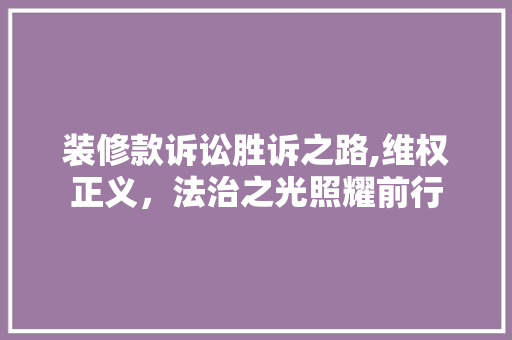 装修款诉讼胜诉之路,维权正义，法治之光照耀前行