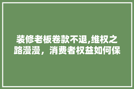 装修老板卷款不退,维权之路漫漫，消费者权益如何保障 木雕艺术
