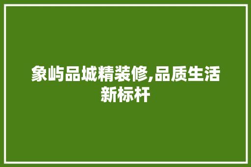 象屿品城精装修,品质生活新标杆 现代风格装饰