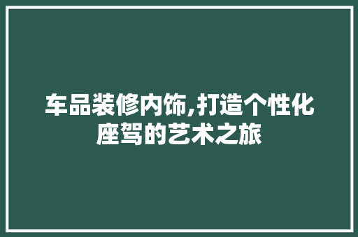 车品装修内饰,打造个性化座驾的艺术之旅 现代风格装饰