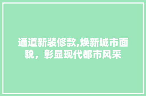 通道新装修款,焕新城市面貌，彰显现代都市风采