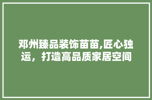 邓州臻品装饰苗苗,匠心独运，打造高品质家居空间