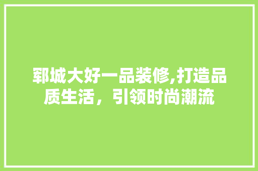 郓城大好一品装修,打造品质生活，引领时尚潮流