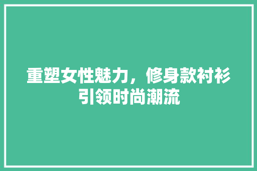 重塑女性魅力，修身款衬衫引领时尚潮流 中式风格装饰