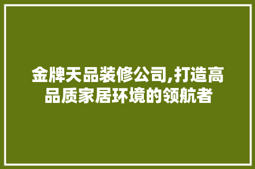 金牌天品装修公司,打造高品质家居环境的领航者 木雕艺术