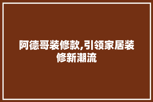 阿德哥装修款,引领家居装修新潮流 现代风格装饰