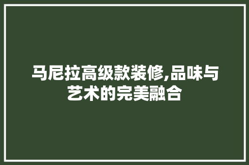 马尼拉高级款装修,品味与艺术的完美融合 软装设计