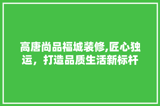 高唐尚品福城装修,匠心独运，打造品质生活新标杆 现代风格装饰