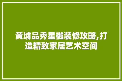 黄埔品秀星樾装修攻略,打造精致家居艺术空间