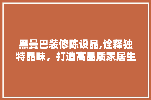 黑曼巴装修陈设品,诠释独特品味，打造高品质家居生活 中式风格装饰