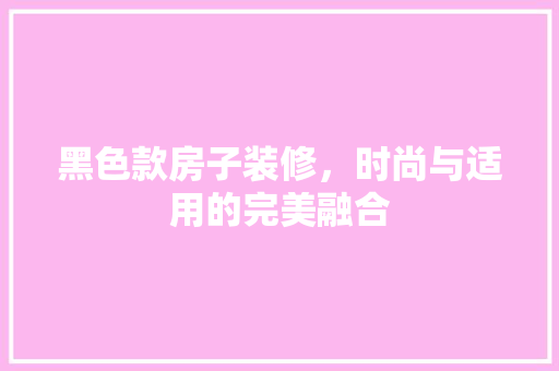 黑色款房子装修，时尚与适用的完美融合 软装设计