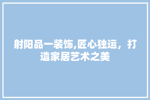 射阳品一装饰,匠心独运，打造家居艺术之美 卧室装修
