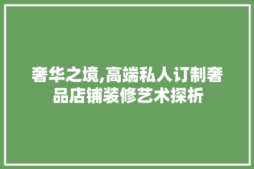 奢华之境,高端私人订制奢品店铺装修艺术探析