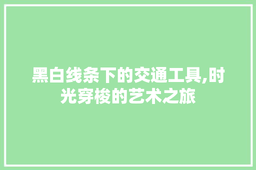黑白线条下的交通工具,时光穿梭的艺术之旅 家居装修