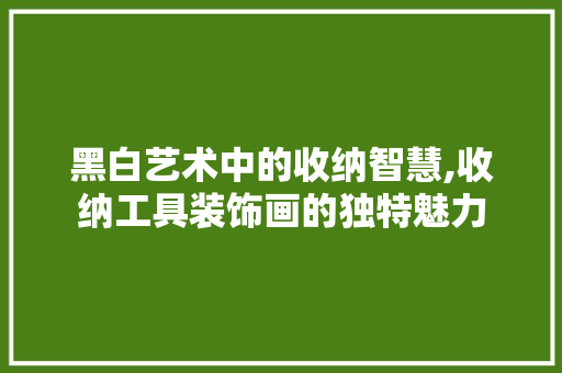黑白艺术中的收纳智慧,收纳工具装饰画的独特魅力 中式风格装饰
