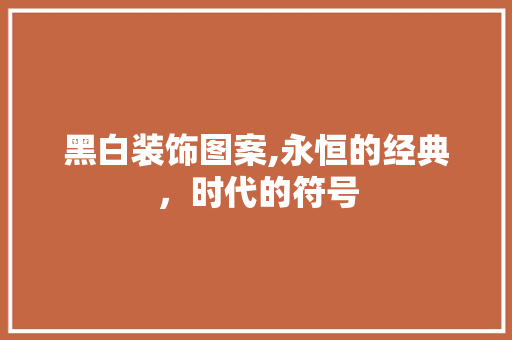 黑白装饰图案,永恒的经典，时代的符号 现代风格装饰