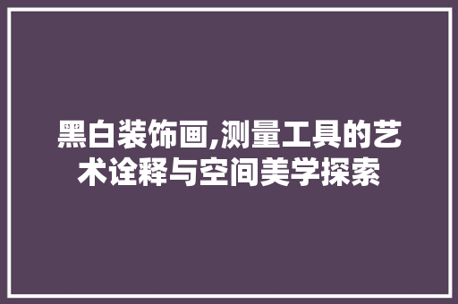 黑白装饰画,测量工具的艺术诠释与空间美学探索 木雕艺术