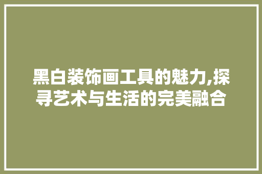 黑白装饰画工具的魅力,探寻艺术与生活的完美融合 中式风格装饰
