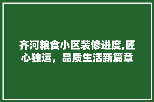 齐河粮食小区装修进度,匠心独运，品质生活新篇章