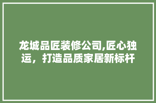 龙城品匠装修公司,匠心独运，打造品质家居新标杆