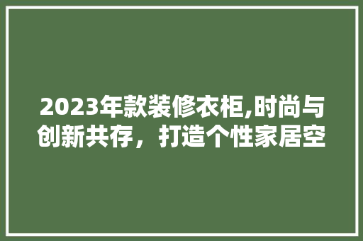 2023年款装修衣柜,时尚与创新共存，打造个性家居空间 软装设计