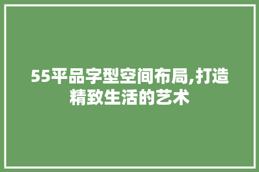 55平品字型空间布局,打造精致生活的艺术 家居装修