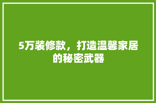 5万装修款，打造温馨家居的秘密武器 现代风格装饰