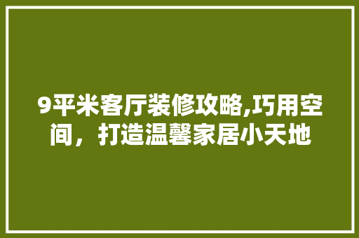 9平米客厅装修攻略,巧用空间，打造温馨家居小天地 现代风格装饰