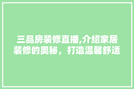三品房装修直播,介绍家居装修的奥秘，打造温馨舒适的家居环境 现代风格装饰