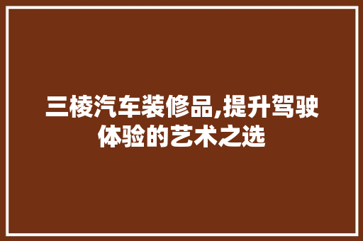 三棱汽车装修品,提升驾驶体验的艺术之选 室内设计